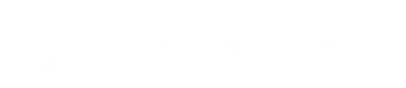 Drew Feste